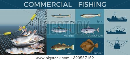Fishery Industry Set, Vector Illustration In Flat Style