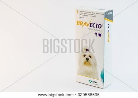 Cluj-napoca/romania-10 24 2019: Bravecto Chewable Tick & Flea Tablet