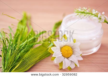 Lozione/crema idratante naturale bellezza organica
