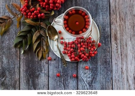 Hot Healing Tea, Mountain Ash Tea. Applied With A Lack Of Vitamins, Anemia, Metabolic Disorders. Red