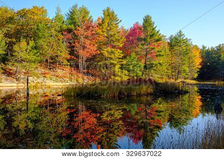 Tranquil Beauty Of Canadian Fall - Kawartha Lakes, Ontario