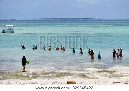 Kendwa, Zanzibar - October 4, 2019: Local Women In Traditional Dress Fishing In The Ocean During Low