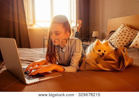 Happy Redhaired Ginger Woman Lying Down In Bed With Her Cute White Fluffy Dog Spitz In Travel Bag Ca