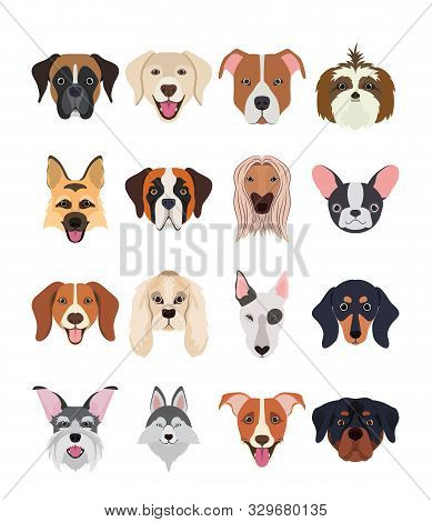 Bundle Of Dog Breeds Group Vector Illustration Design