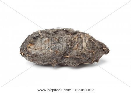  Pellet gufi su sfondo bianco
