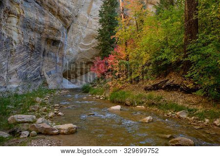 Autumn Color Begins To Compliment Sandstone Cliffs Along The Virgin River