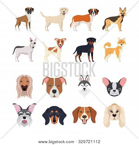 Bundle Of Dog Breeds Group Vector Illustration Design