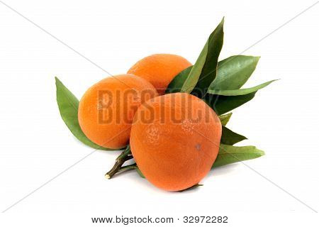 Mandarin