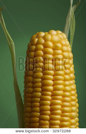 Majs, mad, Cob