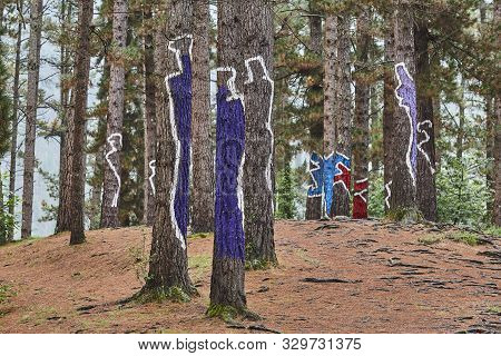 Painted Colorful Green Pinewood Forest In Spain. Oma, Basque Country