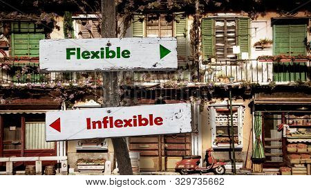 Street Sign The Direction Way To Flexible Versus Inflexible