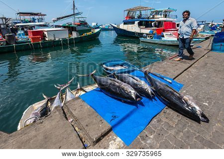 Male, Maldives - November 17, 2017: Area Of Fresh Fish Market In Male, Maldives. Huge Freshly Caught