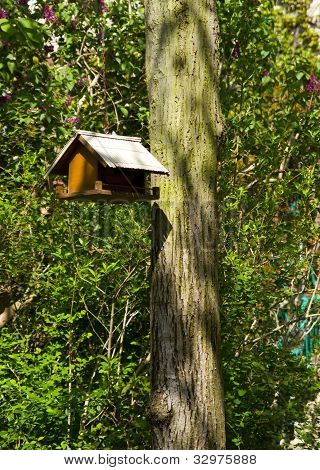Bird house Puutarha