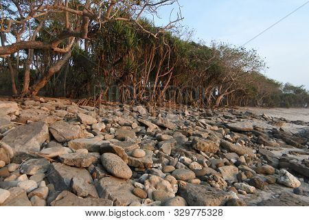 Beautiful Papuma Beach In Jember East Java Indonesia