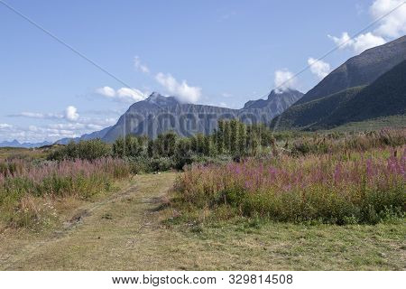 Grunnfor On Austvagoy In Northern Lofoten, Norway