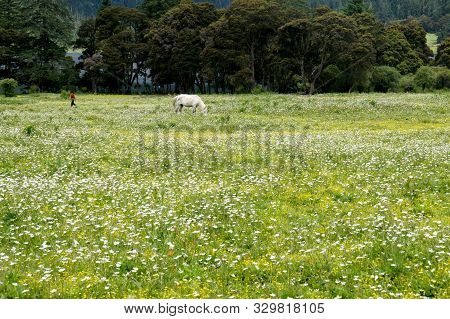Tibetans, Horses, Alpine Lakes And Grasslands In Ganzi, Sichuan, China.