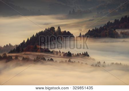 Fog In Pieniny Mountains In Sunrise Light, Poland