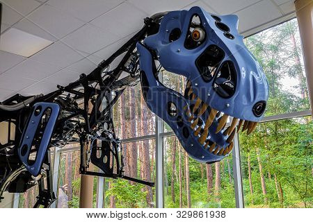 Belgorod, Russia - May 31, 2019: Mechanical Tyrannosaurus Rex. Hand-operated Robot Dinosaur. Dinopar