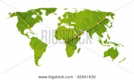 Mapa świata z liści tekstura