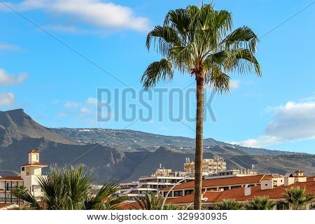 View On Playa De Las Americas On Canary Island Tenerife With Plam Tree In Front And Mountain Range I