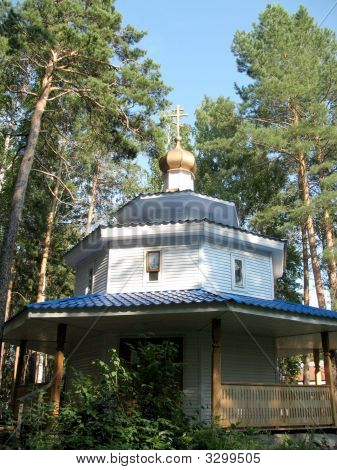 Chiesa foresta