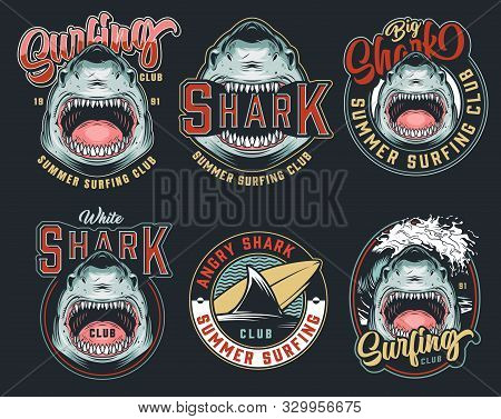 Colorful Summer Surfing Club Logos With Aggressive Scary Sharks Surfboard And Sea Waves In Vintage S