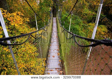 Suspension Bridge In The Park. Landscape View Of The Long Steel Suspension Bridge Over The Forest. E