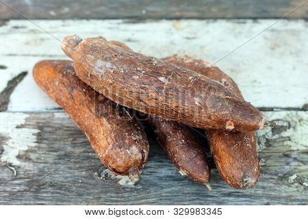 Many Fresh Yucca Root On The Table