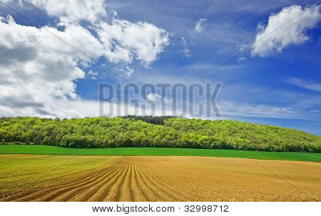 Bosco, prati e campi