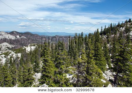 Landcape vista la cima della montagna