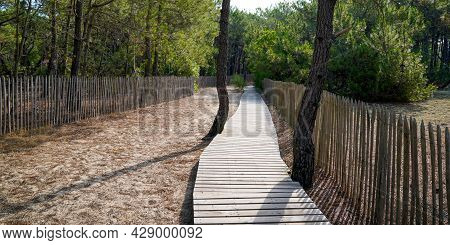 Sandy Wooden Pathway Access Sand Beach In Lege Cap-ferret Atlantic West Coast In France