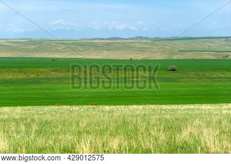 Eco Travel In Georgia In Green Fields And Mountains Tourism