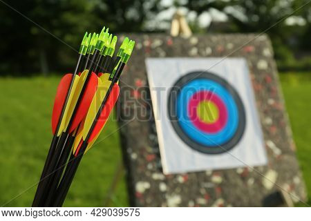 Many Arrows Against Near Target In Park, Closeup. Space For Text