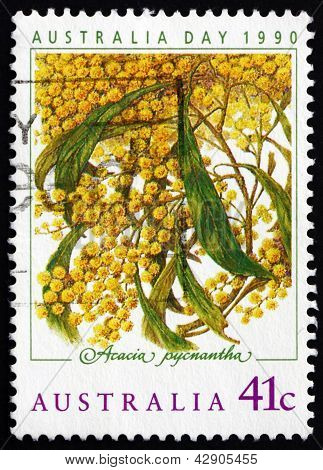 Postage Stamp Australia 1990 Golden Wattle, Australia Day