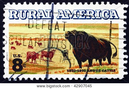 Postage Stamp Usa 1973 Angus And Longhorn Cattle