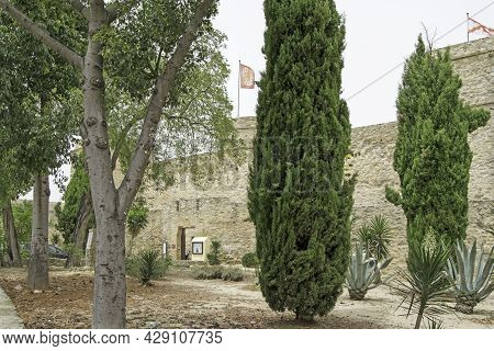 Trees In Sanlucar De Barrameda With The Castle Of Santiago In The Background, In Cadiz, Andalusia, S