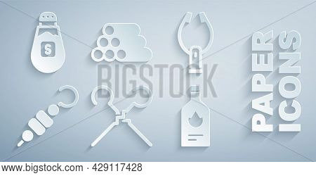 Set Bbq Skewers, Meat Tongs, Grilled Shish Kebab, Tabasco Sauce, Wooden Logs And Salt Icon. Vector