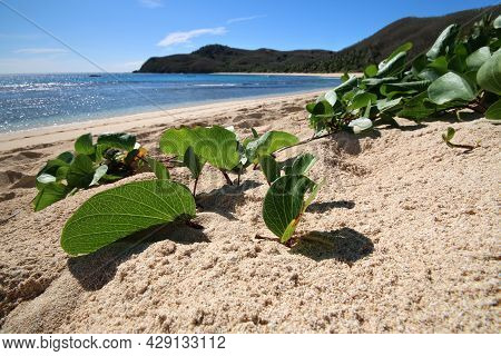 A Sandy Beach Next To A Body Of Water