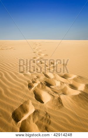 Footprints at the Sand Dune