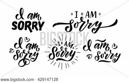 Hand Sketched I Am Sorry Lettering Typography