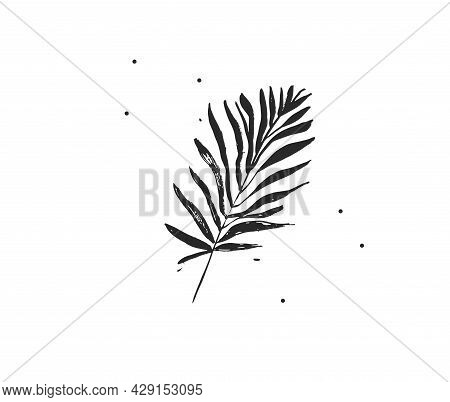 Hand Drawn Vector Abstract Stock Flat Graphic Illustration With Logo Element Of Tropical, Black Exot