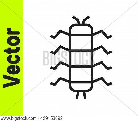 Black Line Centipede Insect Icon Isolated On White Background. Vector