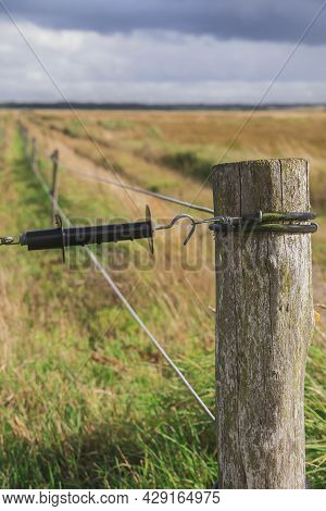 Electronic Shepherd. Pasture Fenced By Wire Under A Weak Current