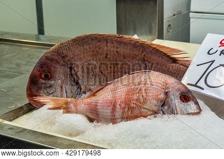 Cadiz, Spain - Nov 16, 2019: Shopping In Cadiz Downtown Market, Mercado Central De Abastos. Cadiz, A