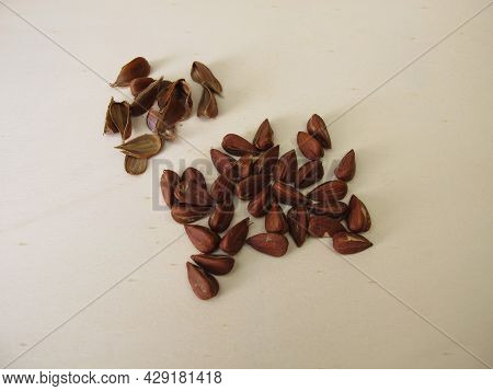 Shelled Beechnuts From The European Beech On A Wooden Board