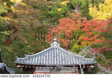 Details Of Rooftop Of Historical Architecture And Red Maple Leaves In Kyoto, Japan In Autumn Season
