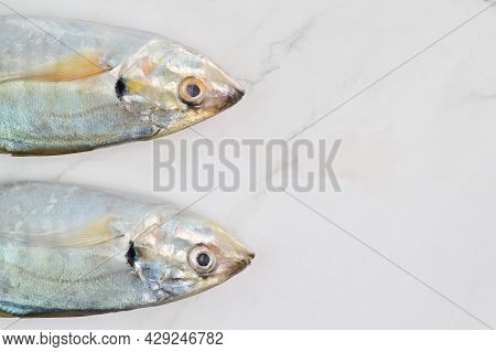 Fresh Raw Fish Called As Rastrelliger Kanagurta Or Mackerel Fish Isolated On White Background