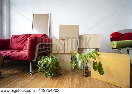 Cardboard Boxes, Potted Plants And Household Stuff Indoors. Moving Day