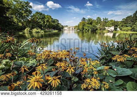 Lazienki Park - Baths Park Or Royal Baths Also Rendered Royal Baths Park Is The Largest Park In Wars