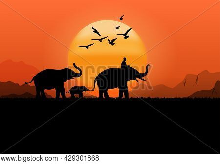 Silhouette Image Black Elephant With Elephant Mahout Walking At The Forest With Mountain And Sunset 